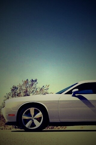 Стартующий Форд Мустанг обои