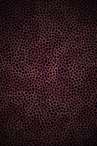 Пятнистая шкура обои