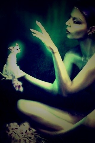 Почет и процветание обои