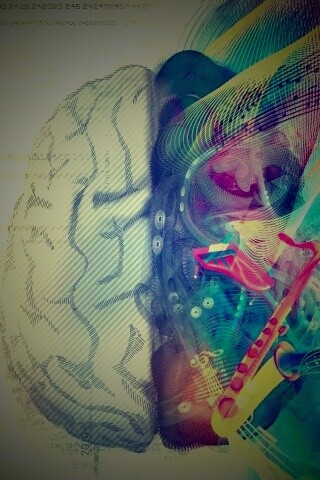 Левая и правая половина мозга обои