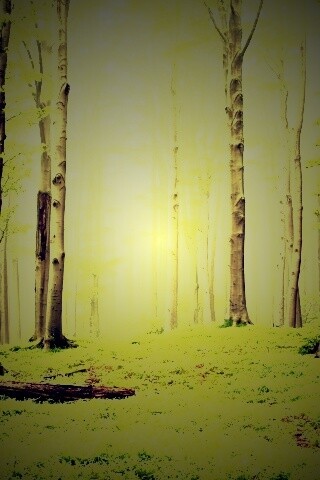 Опушка осинового леса обои