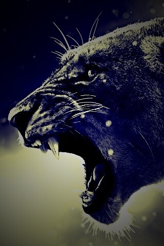 Грозный львиный рык обои