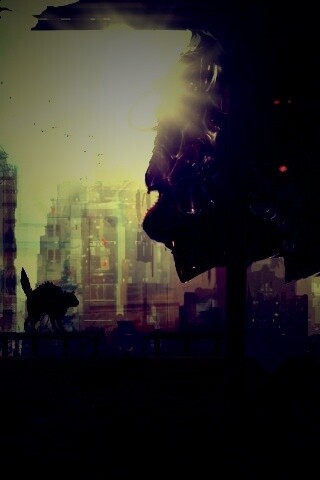 Кошкино удивление обои