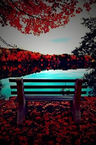 Вид на осеннее озеро обои