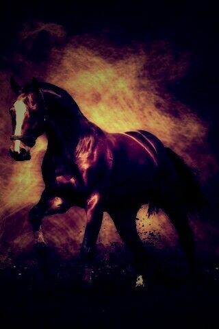 Лошадь обои