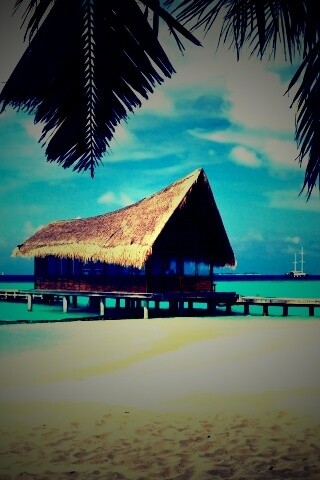 Бунгало обои