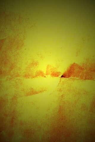 Текстура мятой желтой бумаги обои