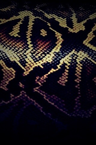 Змеиная кожа обои