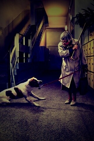 Непослушная собака обои