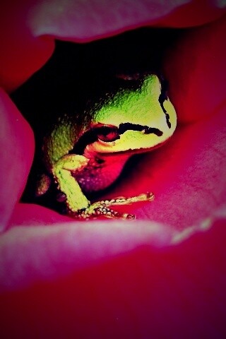 Куда это ты смотришь? обои