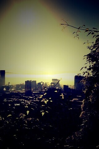 Утро в раю обои