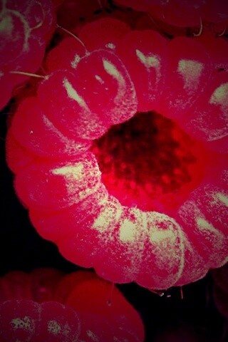 Малина обои