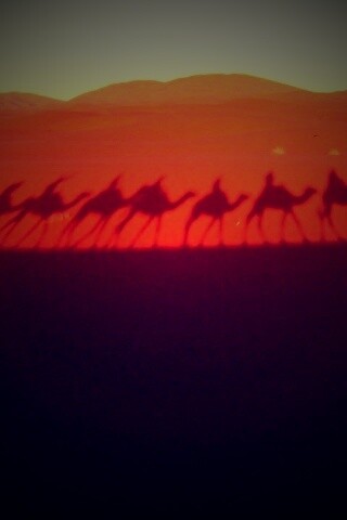 Караван обои