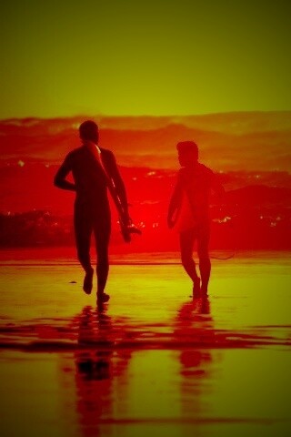 Серфингисты обои