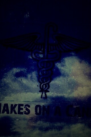 Змеи на трости обои