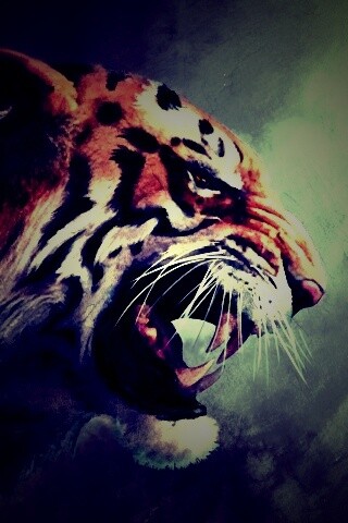 Картина с тигром обои