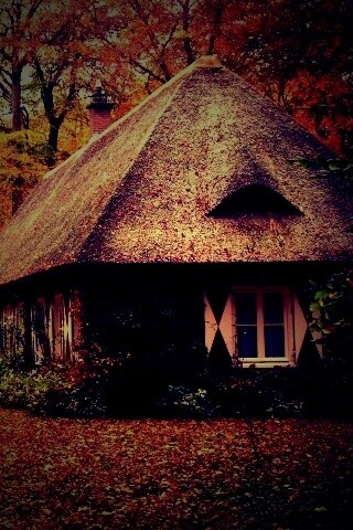 Домик в осеннем лесу обои