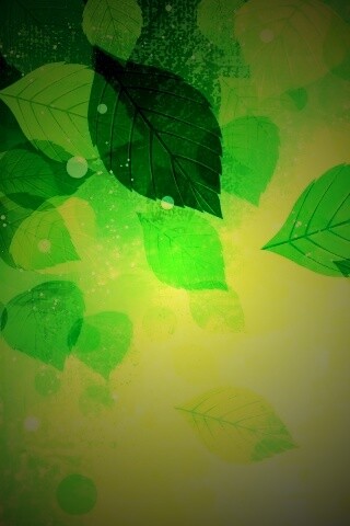 Прозрачные листья обои