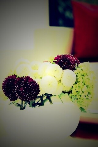 Цветы в белой вазе обои