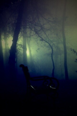 Темный лес обои