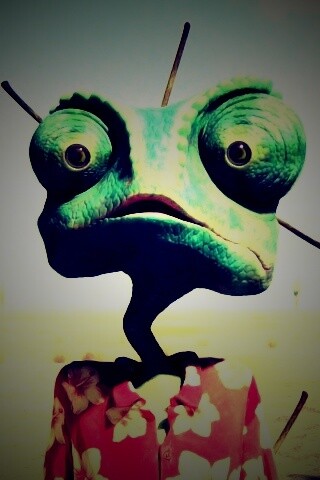 Ранго в колючках от кактуса обои