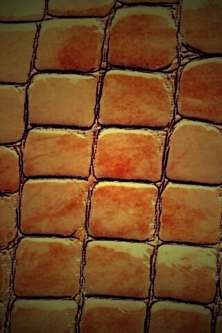 Змеиная кожа обои