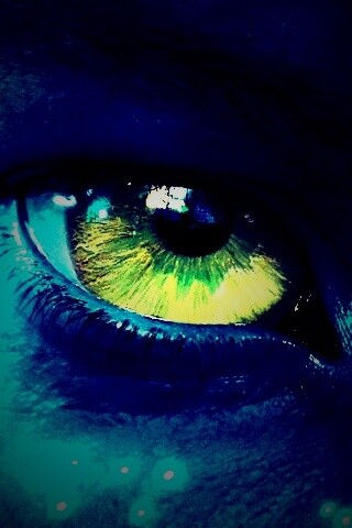 Смотрит прямо в душу обои