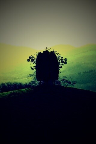 Деревья на холме обои