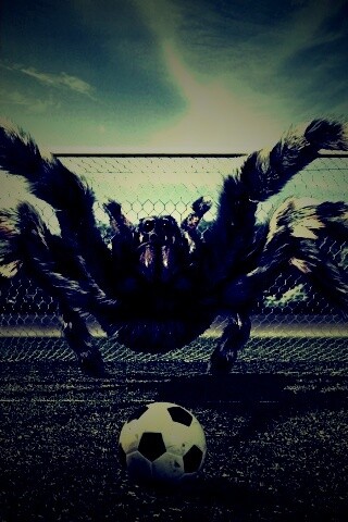 Вратарь обои