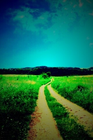 Дорога через луг обои