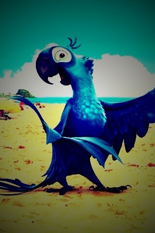 Blu из Rio обои