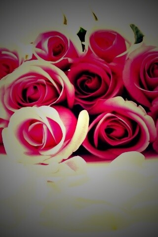 Букет роз обои