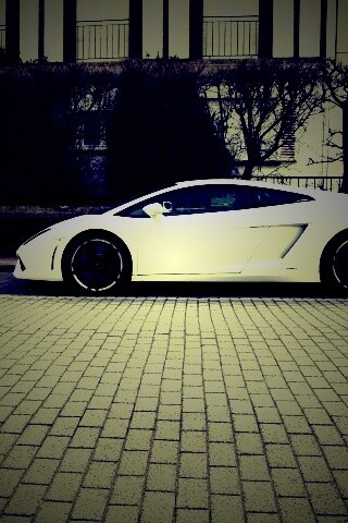 Белый Lamborghini обои