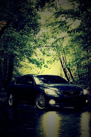 Лексус на лесной дороге обои