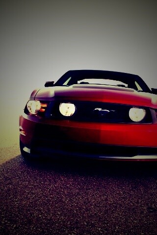 Форд Мустанг обои