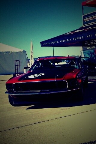 Мускул кары обои