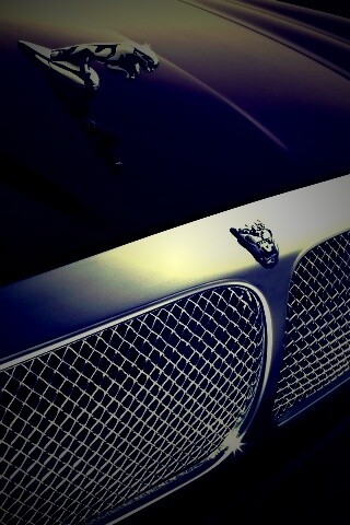 Капот и эмблема Ягуара обои