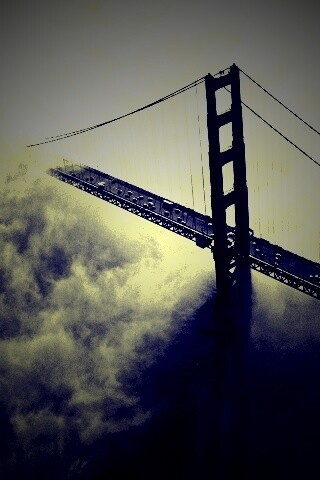 Мост Золотые ворота утопает в тумане обои