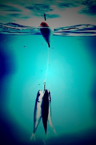 На крючке обои