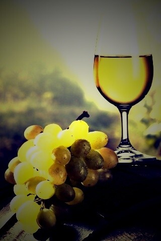 Винная бочка и бокал с белым вином обои