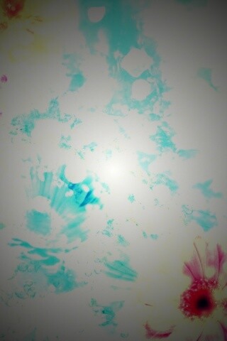 Цветочная эйфория обои