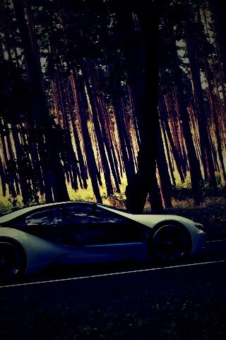 Спорткар BMW на лесной дороге обои