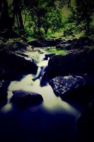 Речной поток в лесу обои