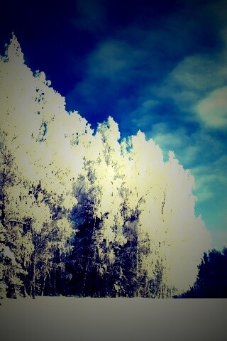 Заснеженные деревья обои