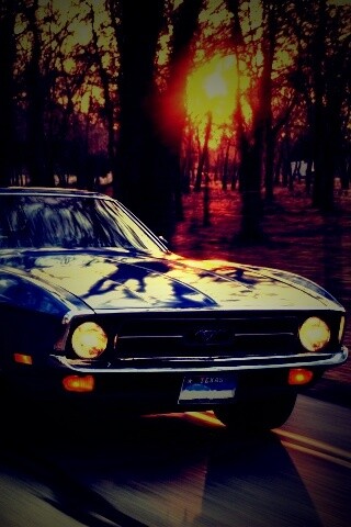 Мустанг обои