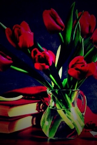 Букет красных тюльпанов обои