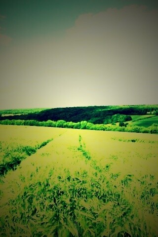 Бескрайние просторы обои