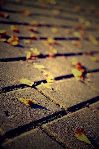 Тротуар обои