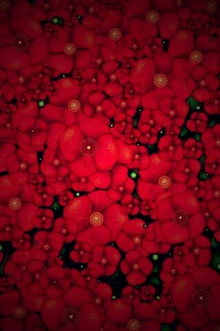 Рисунко с красными цветами обои