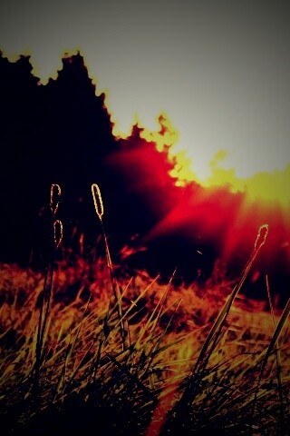 Красота природы обои